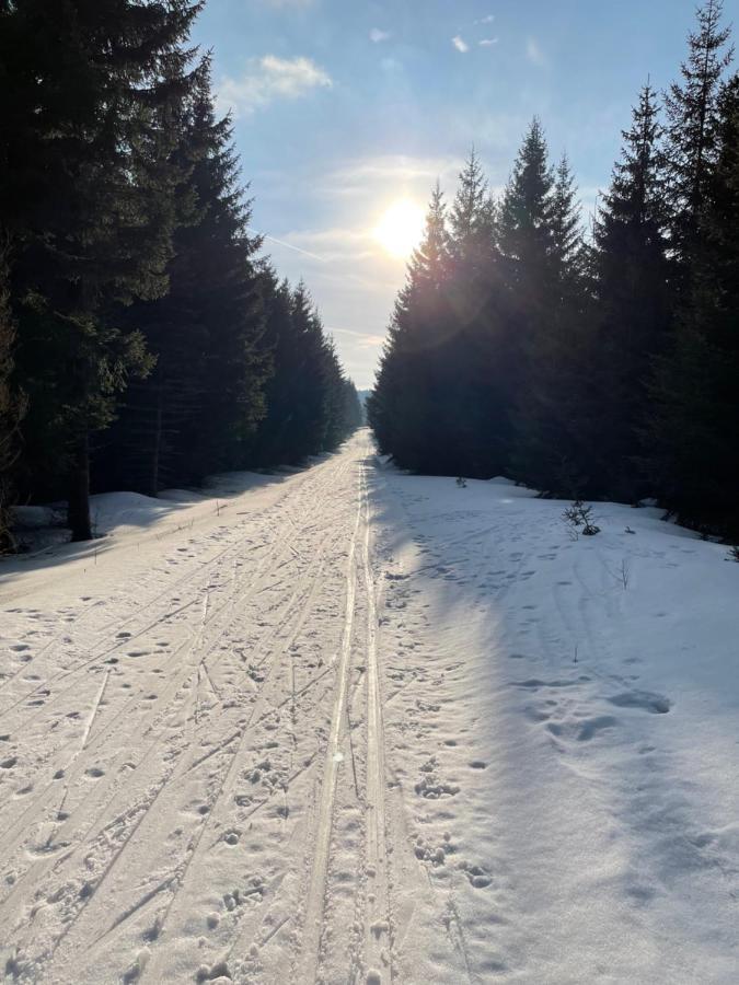 Ski Klinovec Лоучна-под-Клиновцем Экстерьер фото